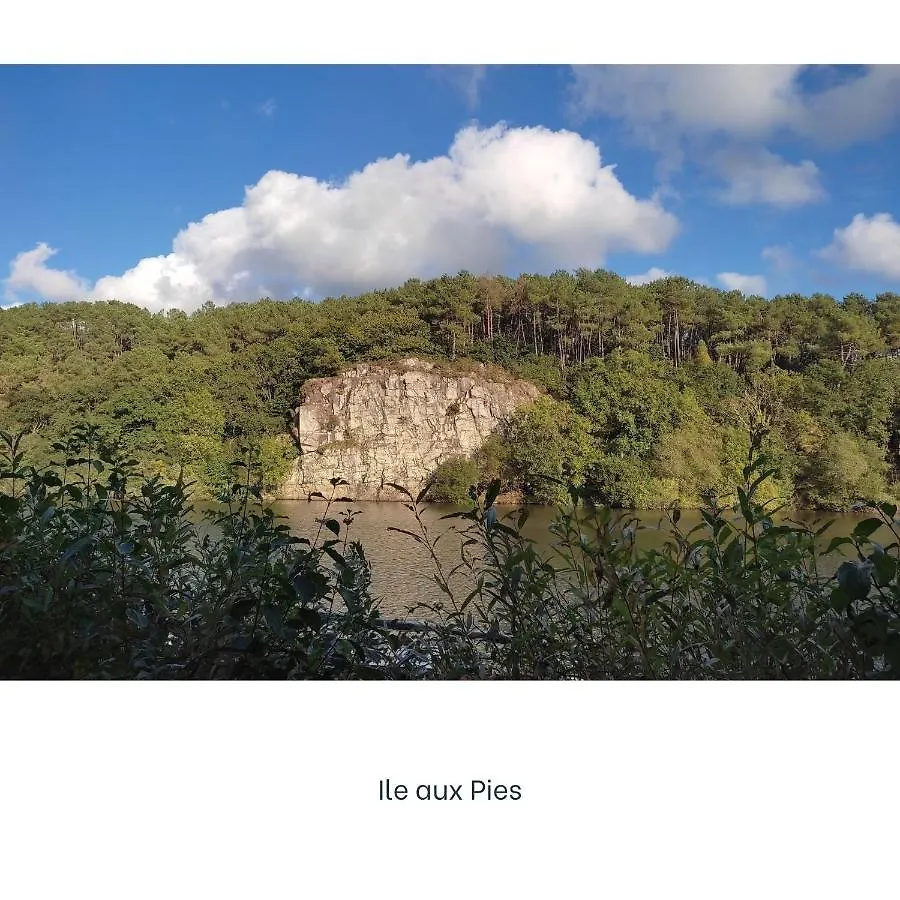 Holiday home Pies Cottage - Proche Ile Aux Pies Saint-Vincent-sur-Oust France